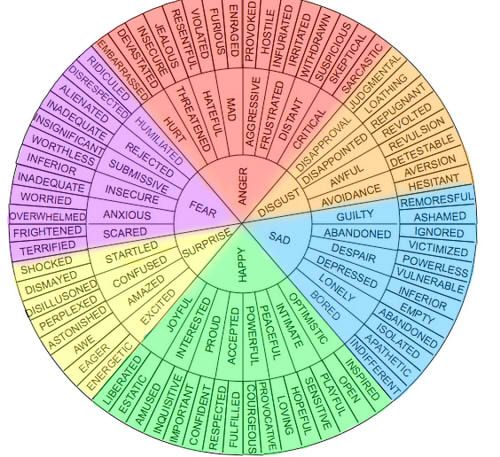 Emotions wheel 2